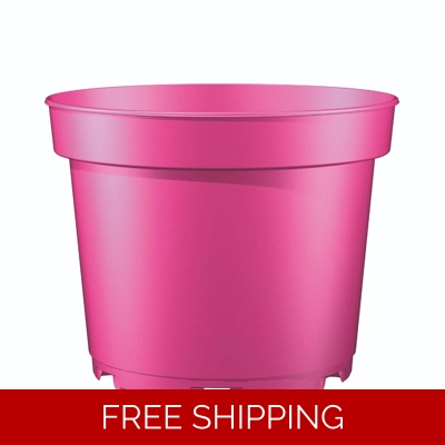 17cm - 2 litre - Round - Pink - Plant pot
